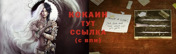 гашик Богородицк