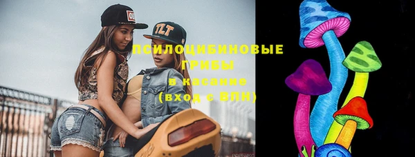 гидропоника Богданович