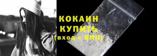 молекула духа Бородино