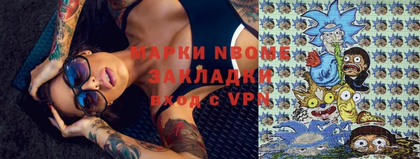 шишки Лагань
