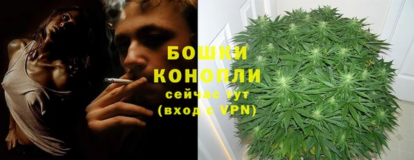 гашик Богородицк