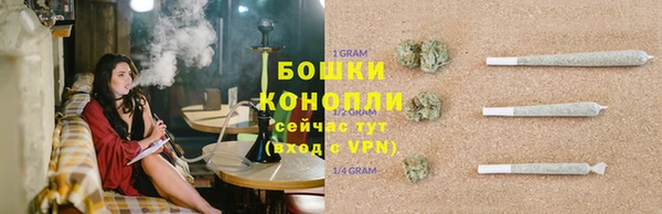 молекула духа Бородино